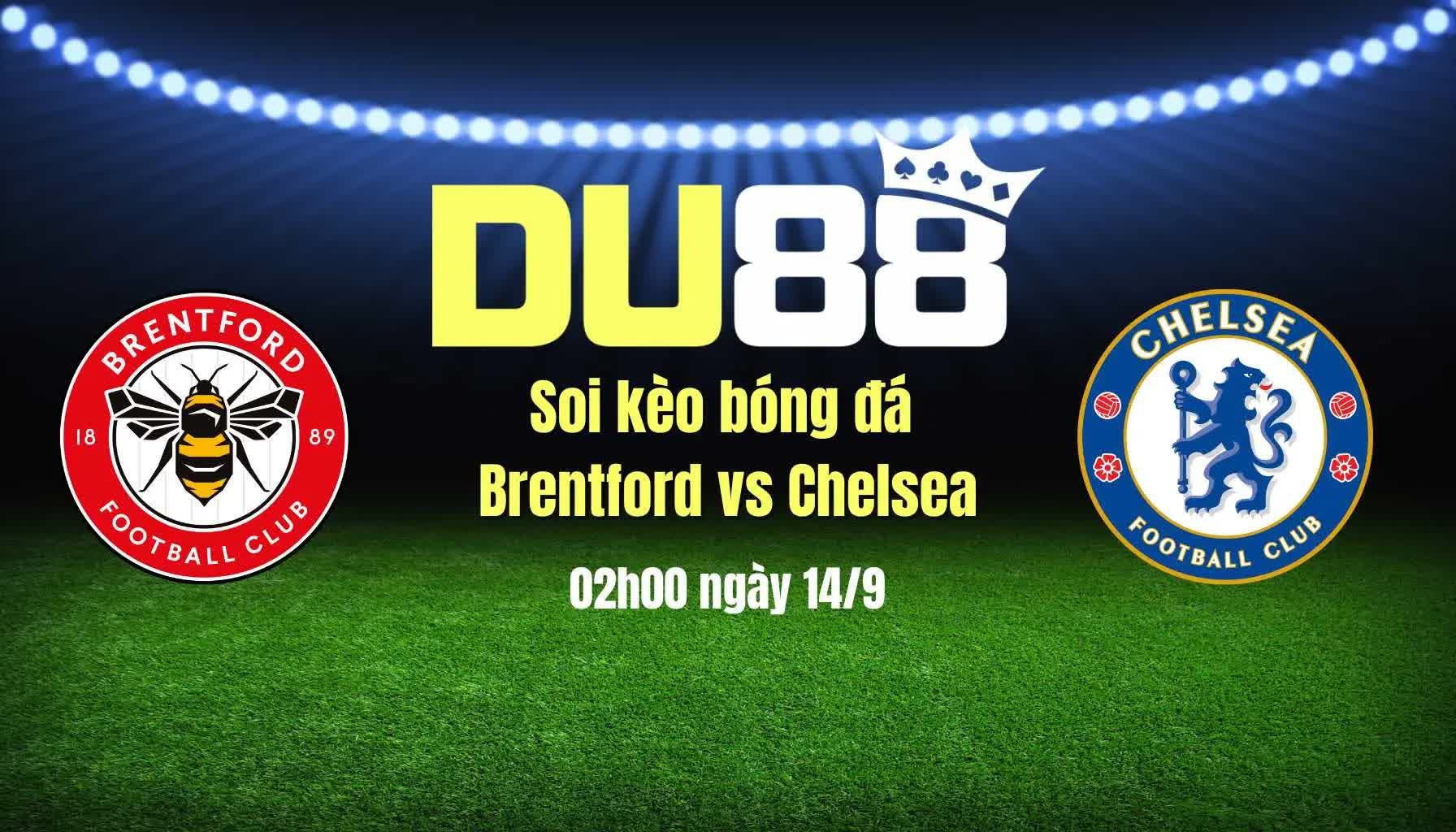 DU88 Soi kèo bóng đá Brentford vs Chelsea, 02h00 ngày 14/9: bầy ong mất phương hướng