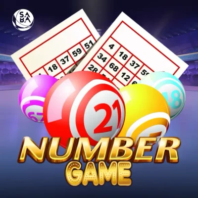 DU88 Number Game